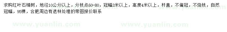 求購地徑10公分以上紅葉石楠
