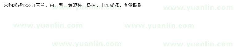 求購米徑18公分玉蘭