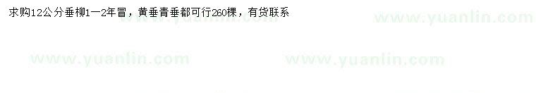求購(gòu)12公分垂柳