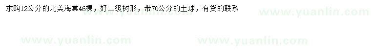 求購12公分北美海棠