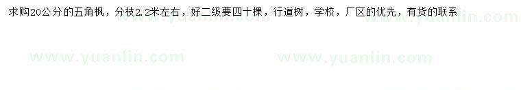 求購20公分五角楓