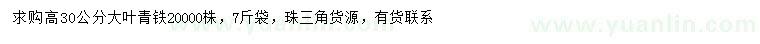 求購高30公分大葉青鐵