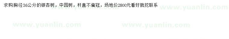 求購胸徑36公分銀杏樹(shù)