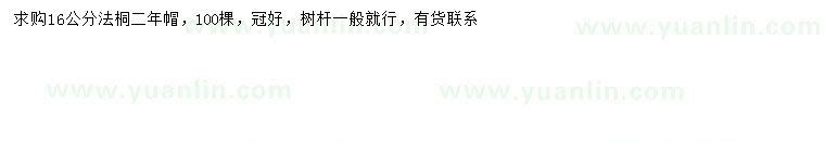 求購16公分法桐
