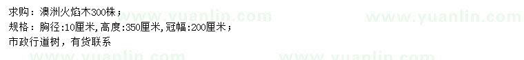 求購(gòu)胸徑10公分澳洲火焰木