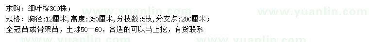 求購胸徑12公分細葉榕