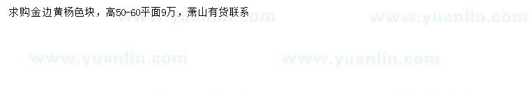 求購(gòu)高50-60公分金邊黃楊