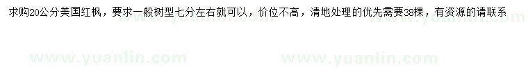 求購20公分美國紅楓