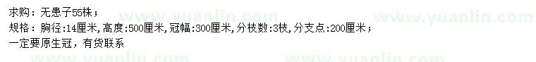 求購(gòu)胸徑14公分無(wú)患子