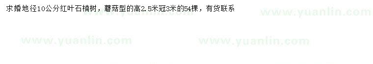 求購(gòu)地徑10公分紅葉石楠