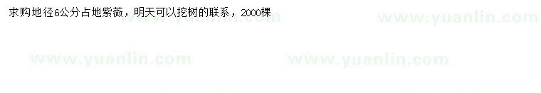 求購地徑6公分紫薇