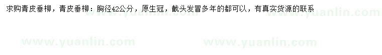 求購胸徑42公分青皮垂柳
