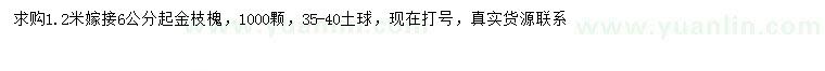 求購6公分以上金枝槐