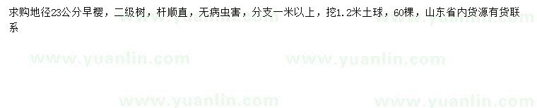 求購地徑23公分早櫻