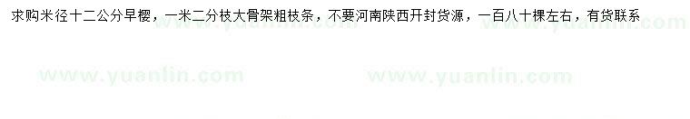 求購米徑12公分早櫻
