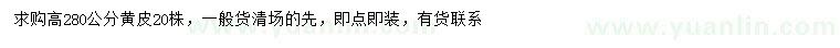 求購高280公分黃皮