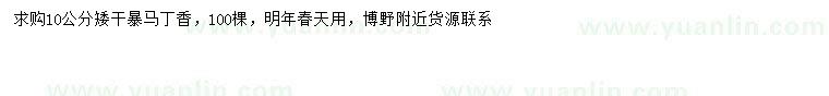 求購(gòu)10公分暴馬丁香