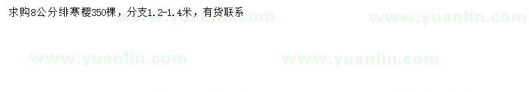 求購8公分緋寒櫻