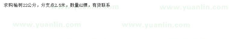 求購22公分榆樹