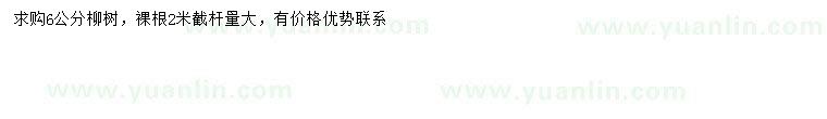 求購6公分柳樹(shù)