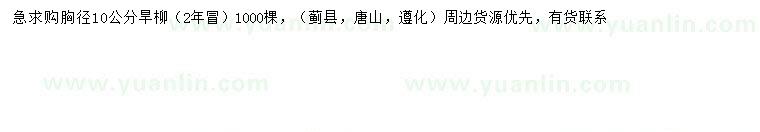 求購(gòu)胸徑10公分旱柳