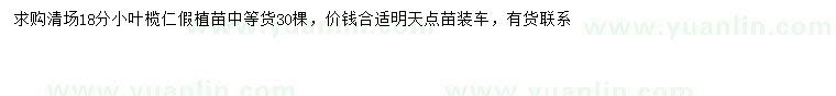 求購18公分小葉欖仁