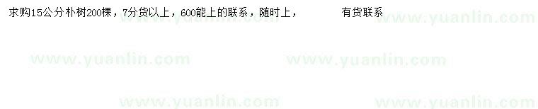 求購15公分樸樹