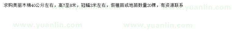 求購40公分左右美麗木棉