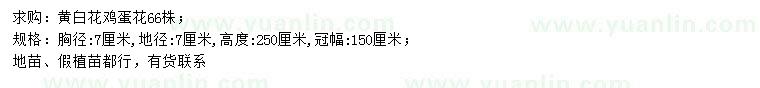求購胸徑7公分黃白花雞蛋花