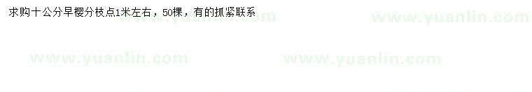 求購10公分早櫻