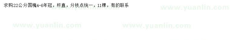 求購22公分國槐
