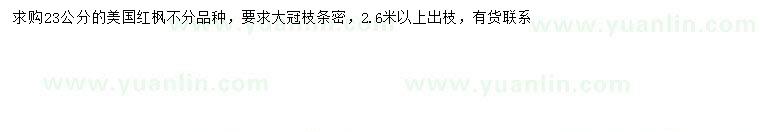 求購(gòu)23公分美國(guó)紅楓