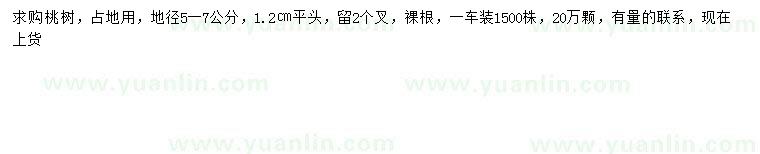求購地徑5-7公分桃樹