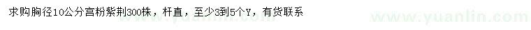 求購胸徑10公分宮粉紫荊