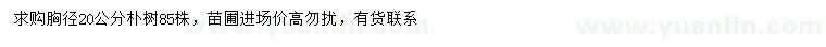 求購胸徑20公分樸樹