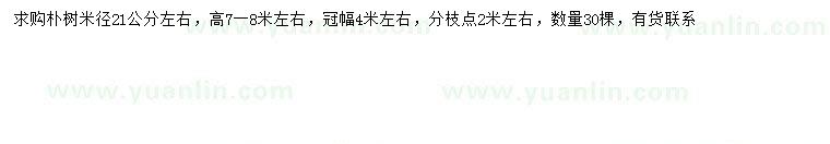 求購求購米徑21公分樸樹