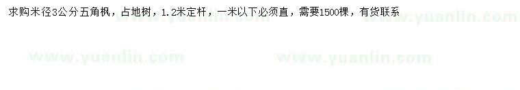 求購(gòu)求購(gòu)米徑3公分五角楓