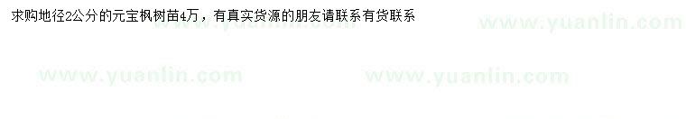 求購(gòu)求購(gòu)地徑2公分元寶楓