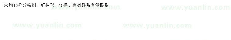 求購(gòu)求購(gòu)12公分欒樹