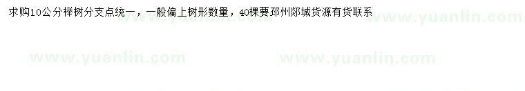 求購求購10公分櫸樹