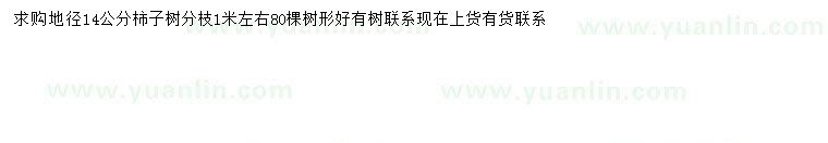 求購求購地徑14公分柿子樹
