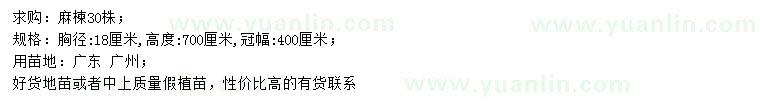 求購求購胸徑18公分麻楝