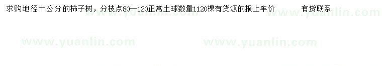 求購地徑10公分柿子樹