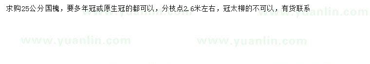 求購(gòu)25公分國(guó)槐