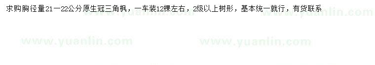 求購胸徑21-22公分三角楓