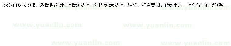 求購(gòu)胸徑1200白皮松