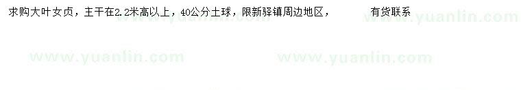 求購主桿220公分大葉女貞