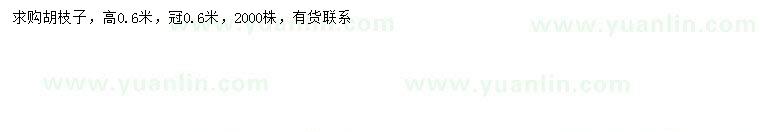 求購高60公分胡枝子