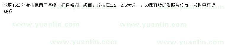求購(gòu)高16公分金枝槐