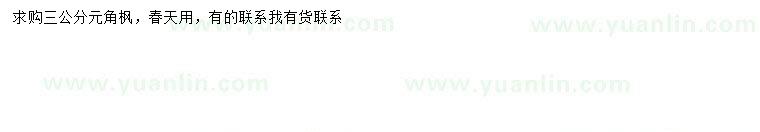求購高3公分元角楓